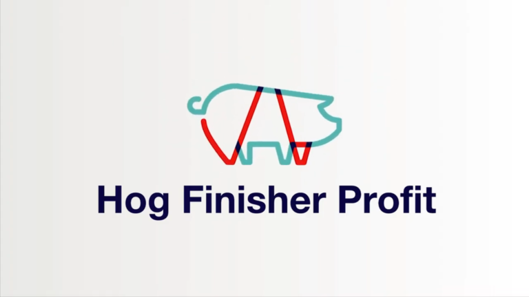 วิดีโอพรีเซนเทชัน HOG Finishing Profit ผลิตโดย Digital Wise ให้กับ Cargill Global Team